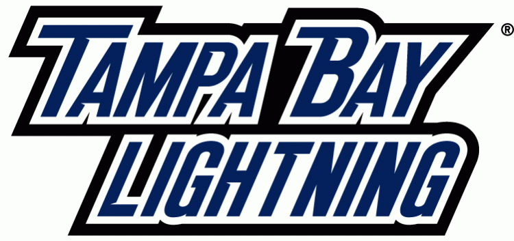 Tampa Bay Lightning 2011 Wordmark Logo iron on transfers for fabric